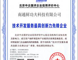 技术开发服务创新力证书